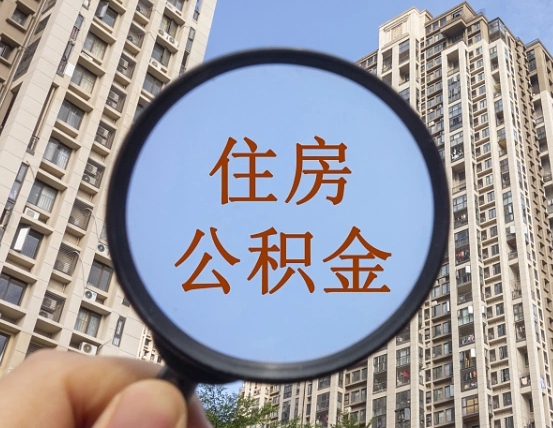 新余单位补缴公积金需要什么手续（单位补缴公积金需要什么资料）